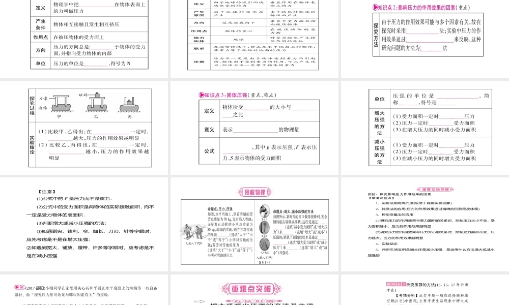 （云南专版）中考物理总复习 第9讲 压强课件-人教版初中九年级全册物理课件