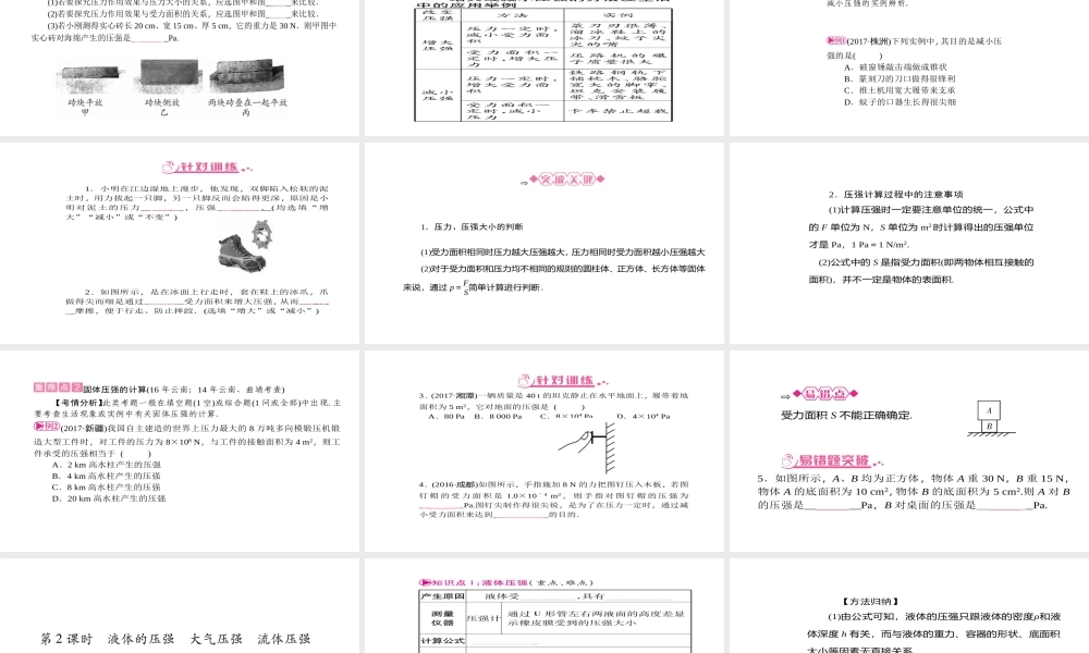 （云南专版）中考物理总复习 第9讲 压强课件-人教版初中九年级全册物理课件