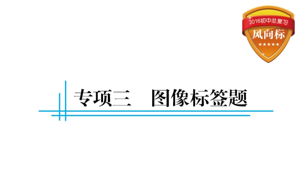 （云南专用）中考化学总复习 图像标签题课件-人教版初中九年级全册化学课件