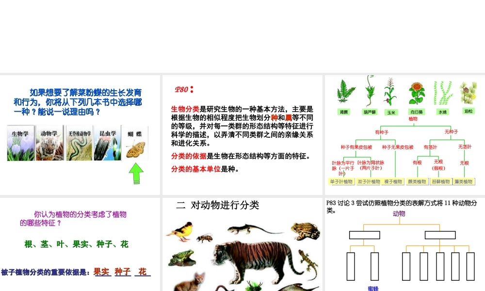 安徽省银塘中学八年级生物 尝试对生物进行分类课件