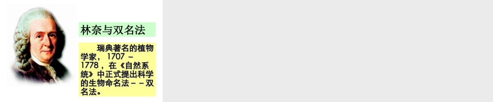 安徽省银塘中学八年级生物 尝试对生物进行分类课件