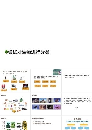 安徽省银塘中学八年级生物《尝试对生物进行分类》课件1