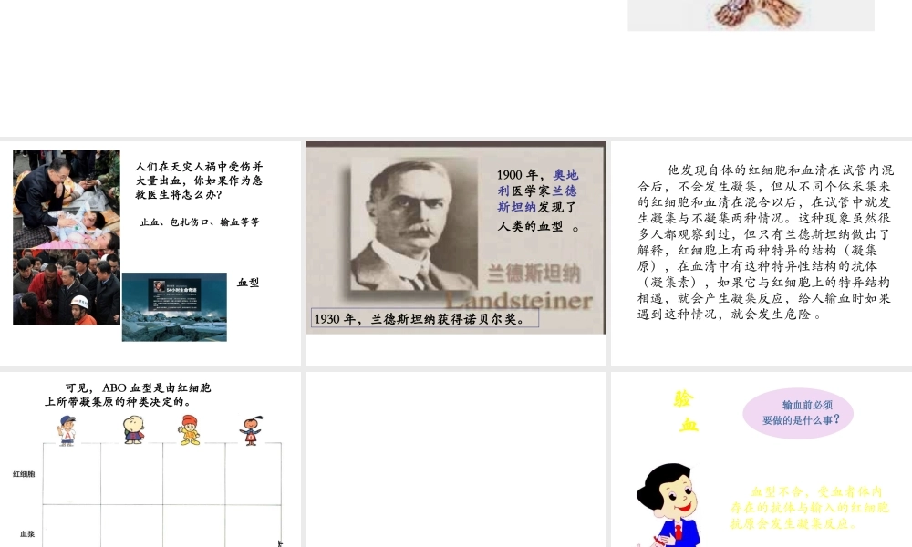 安徽省合肥市长丰县七年级生物下册 4.4.4《输血与血型》课件3 （新版）新人教版-（新版）新人教版初中七年级下册生物课件
