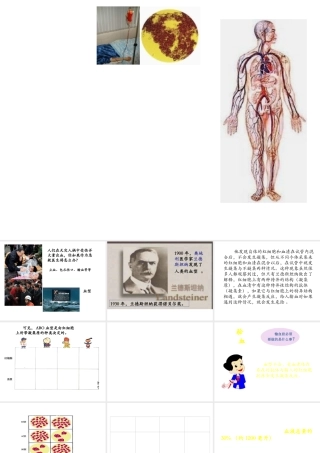 安徽省合肥市长丰县七年级生物下册 4.4.4《输血与血型》课件3 （新版）新人教版-（新版）新人教版初中七年级下册生物课件