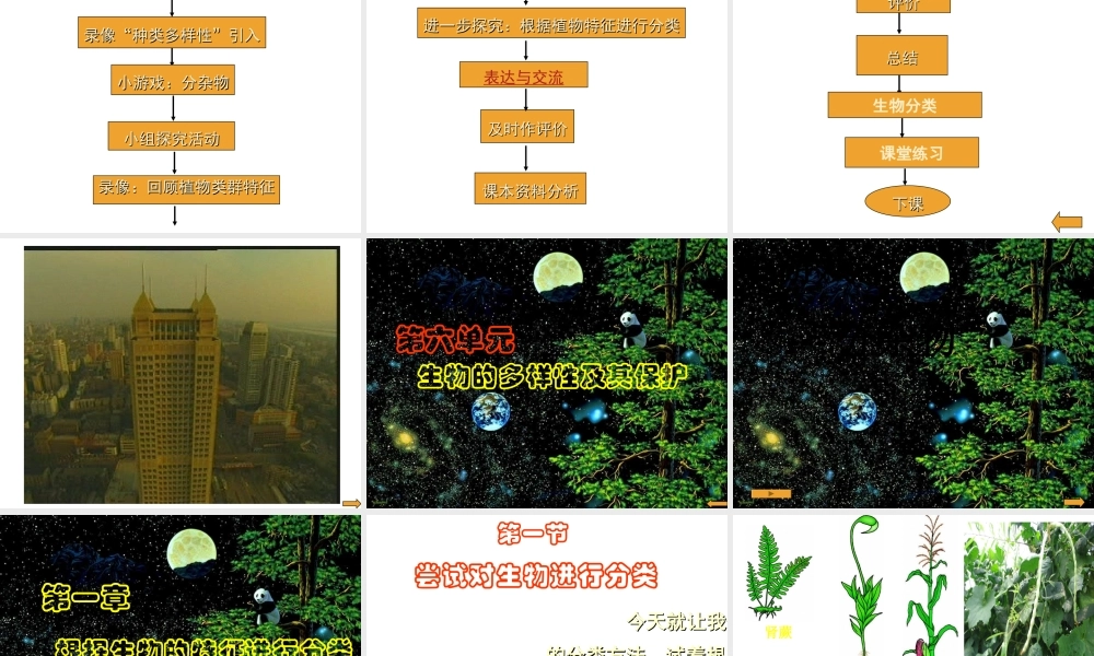 安徽省银塘中学八年级生物《尝试对生物进行分类》课件2