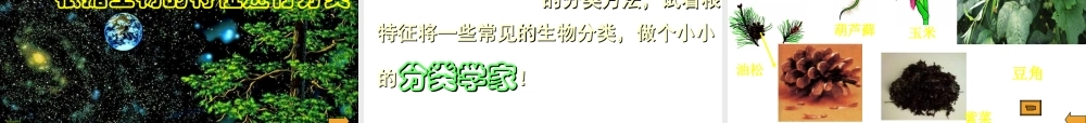 安徽省银塘中学八年级生物《尝试对生物进行分类》课件2
