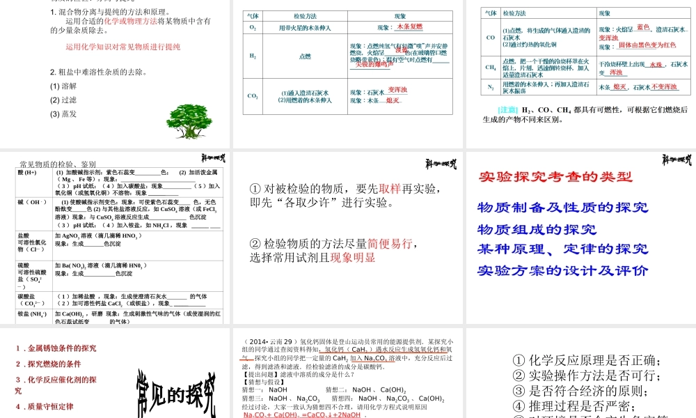 （云南专用）中考化学总复习课件-人教版初中九年级全册化学课件