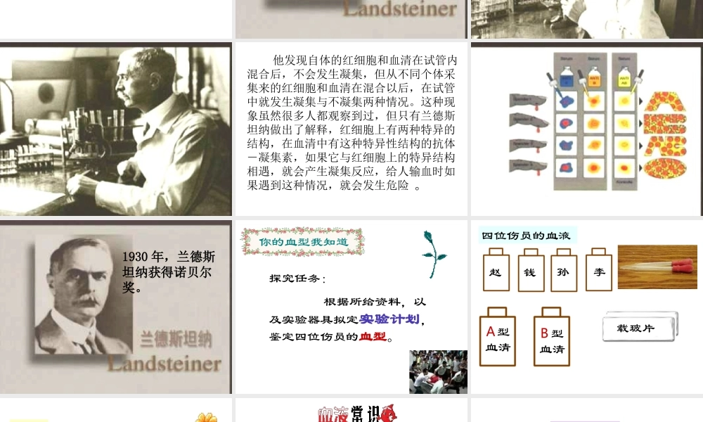 安徽省合肥市长丰县七年级生物下册 4.4.4《输血与血型》课件4 （新版）新人教版-（新版）新人教版初中七年级下册生物课件