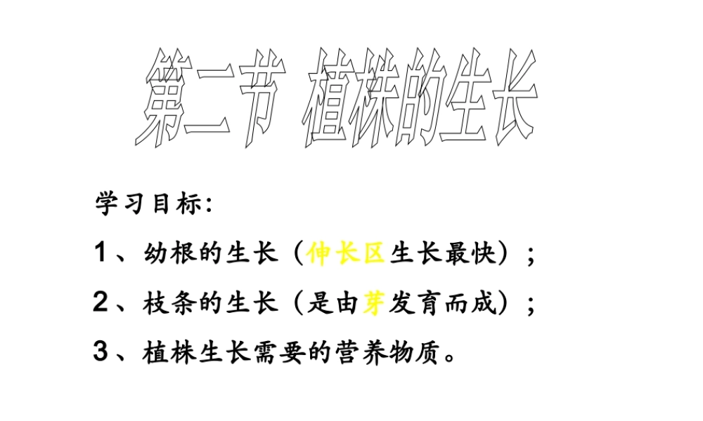 安徽省银塘中学七年级生物《植株的生长》课件2