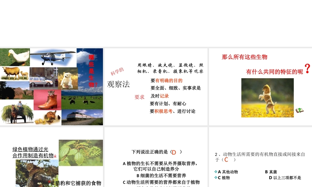 安徽省长丰县下塘实验中学七年级生物上册《1.1.1 生物的特征》课件 （新版）新人教版