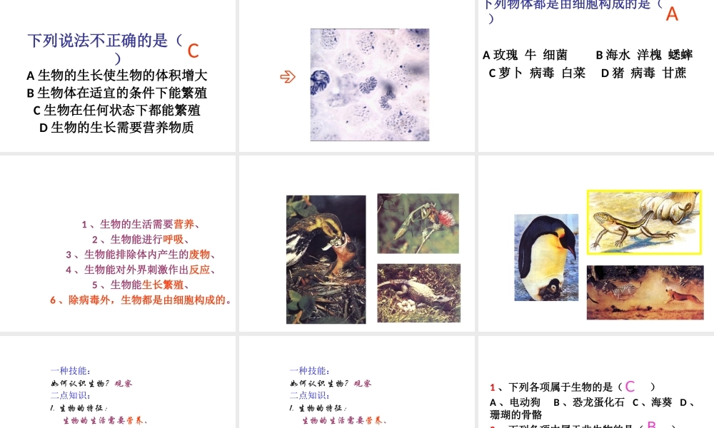 安徽省长丰县下塘实验中学七年级生物上册《1.1.1 生物的特征》课件 （新版）新人教版