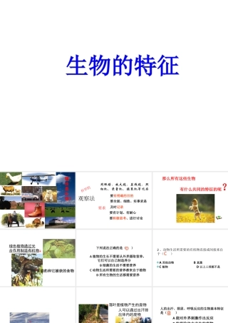 安徽省长丰县下塘实验中学七年级生物上册《1.1.1 生物的特征》课件 （新版）新人教版