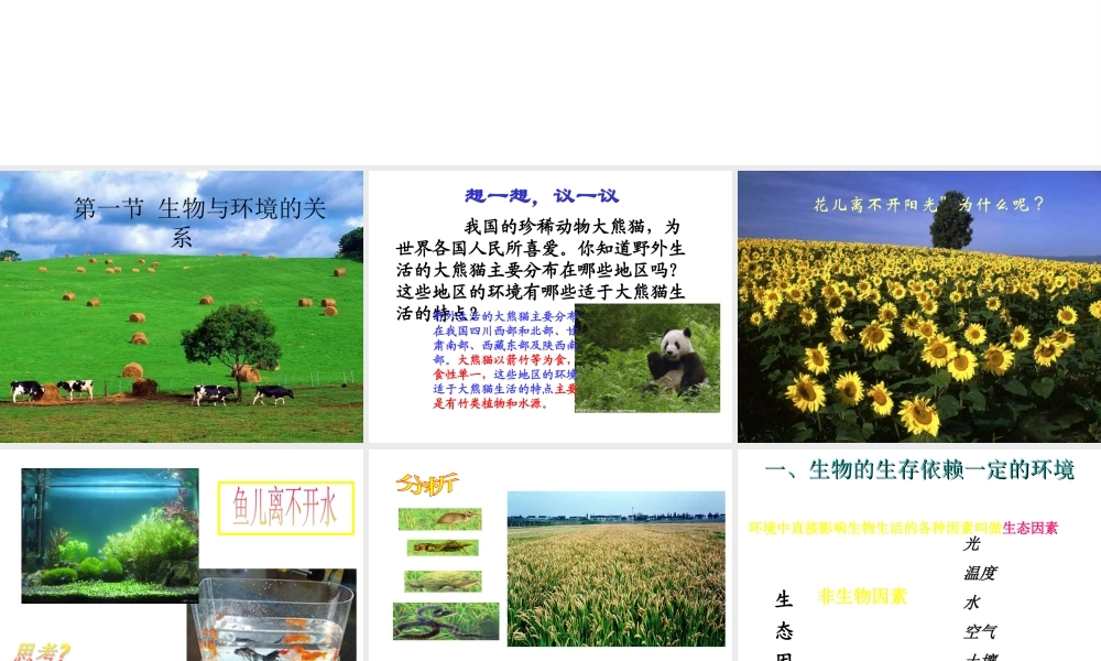 安徽省长丰县下塘实验中学七年级生物上册《1.2.1 生物与环境的关系》课件 （新版）新人教版