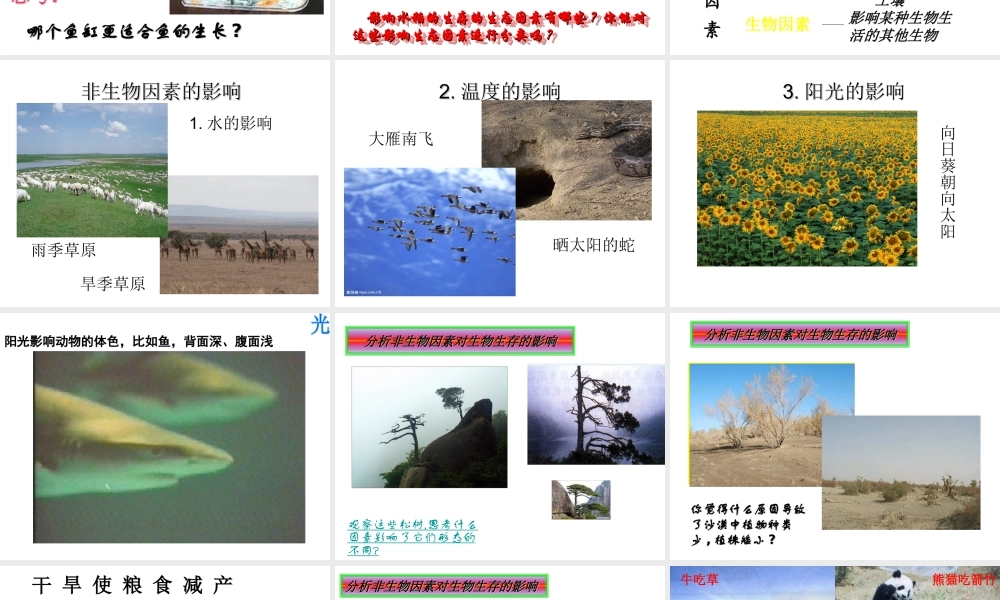 安徽省长丰县下塘实验中学七年级生物上册《1.2.1 生物与环境的关系》课件 （新版）新人教版