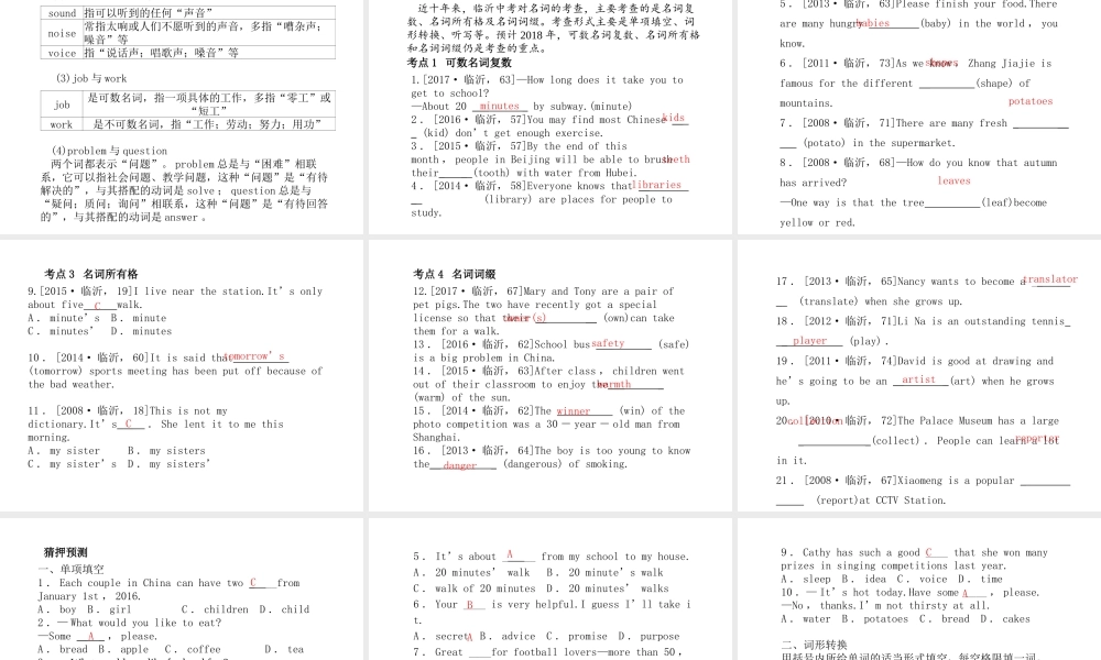 （临沂专版）中考英语总复习 第二部分 专项语法 高效突破 专项1 名词课件-人教版初中九年级全册英语课件