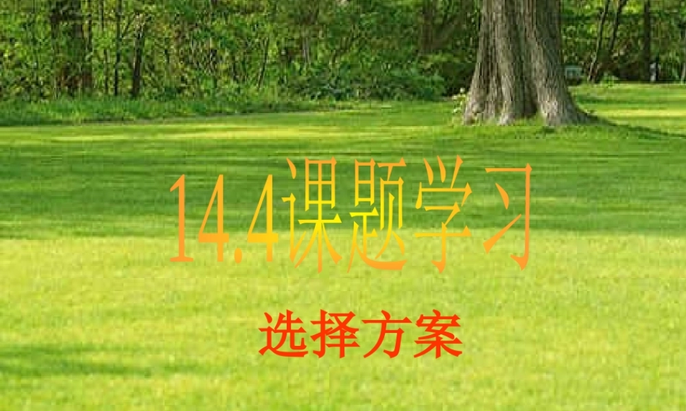 安徽省太和大新中学八年级数学上14.4课题学习- 14.4选择方案