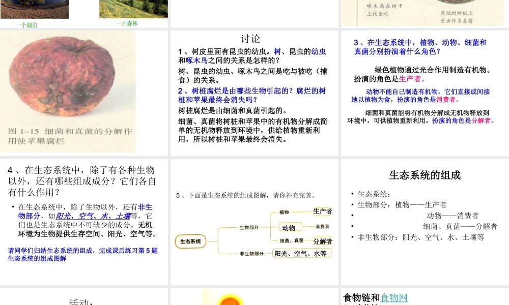 安徽省长丰县下塘实验中学七年级生物上册《1.2.2 生物与环境组成生态系统》课件 （新版）新人教版