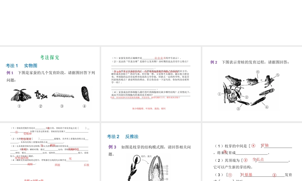 （云南专用）中考生物总复习 专题二十五 识图作答题课件-人教级全册生物课件