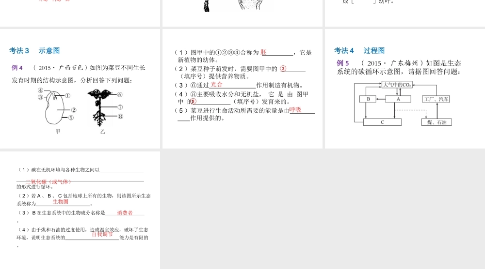 （云南专用）中考生物总复习 专题二十五 识图作答题课件-人教级全册生物课件