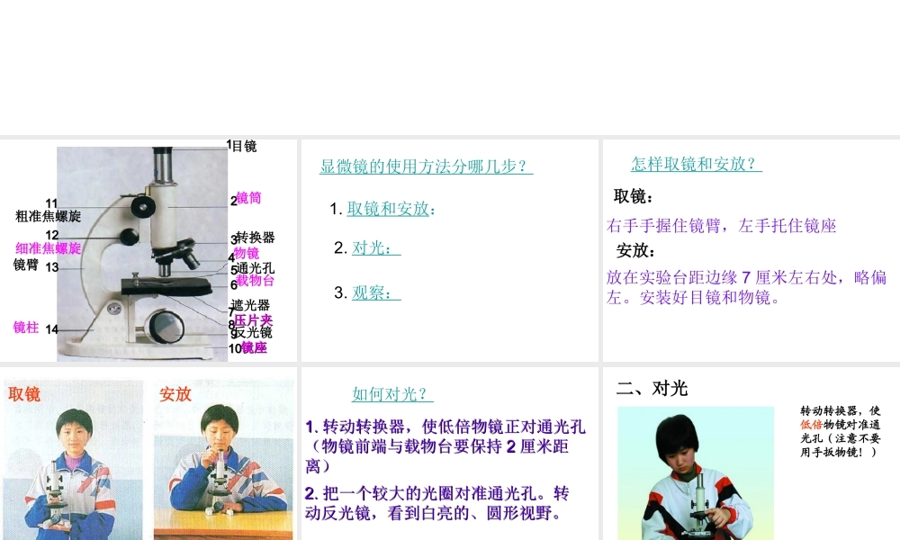 安徽省长丰县下塘实验中学七年级生物上册《2.1.1 练习使用显微镜》课件 （新版）新人教版