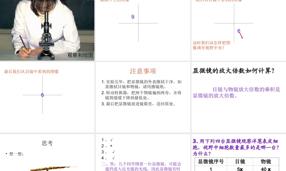 安徽省长丰县下塘实验中学七年级生物上册《2.1.1 练习使用显微镜》课件 （新版）新人教版