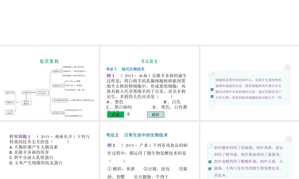（云南专用）中考生物总复习 专题二十一 生物技术课件-人教版初中九年级全册生物课件