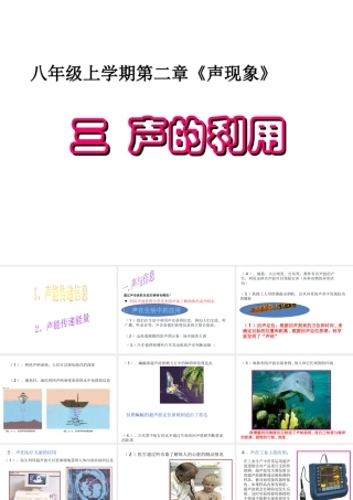 安徽省桐城市八年级物理上册 2.3 声的利用课件 （新版）新人教版-（新版）新人教版初中八年级上册物理课件