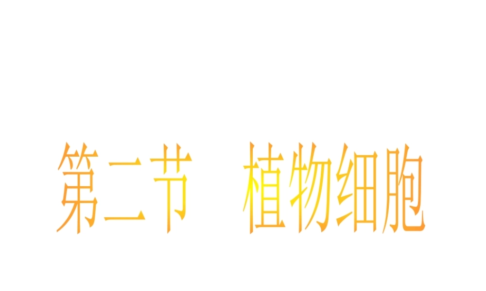安徽省长丰县下塘实验中学七年级生物上册《2.1.2 植物细胞》课件 （新版）新人教版