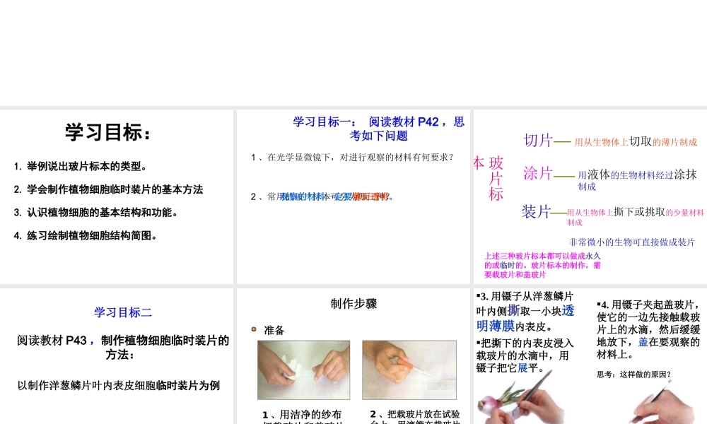 安徽省长丰县下塘实验中学七年级生物上册《2.1.2 植物细胞》课件 （新版）新人教版