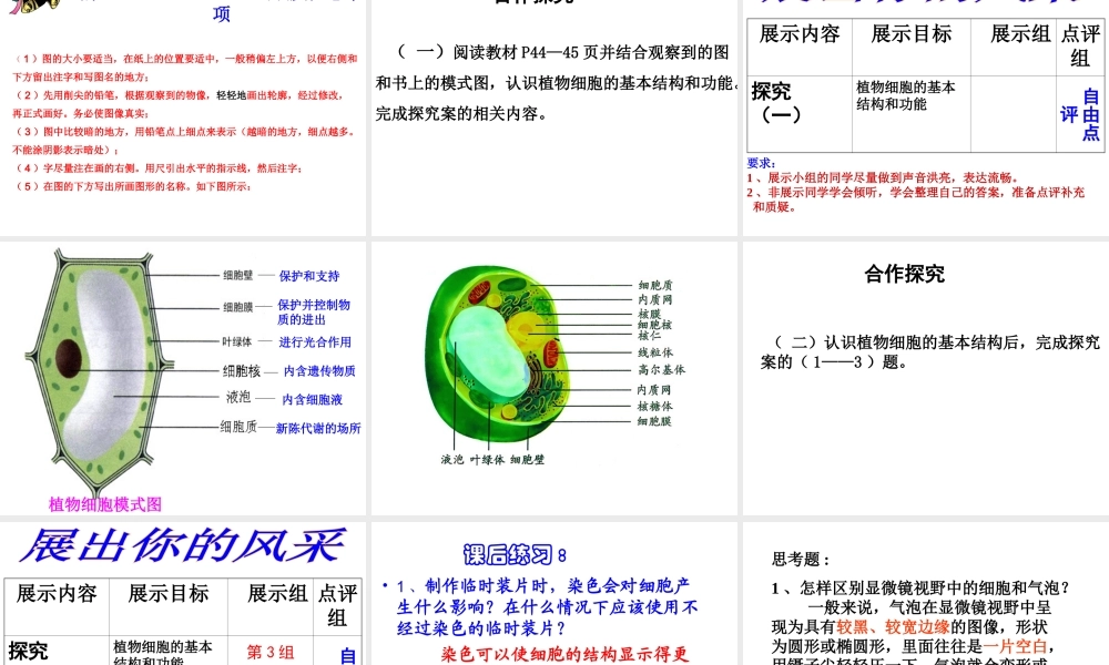 安徽省长丰县下塘实验中学七年级生物上册《2.1.2 植物细胞》课件 （新版）新人教版