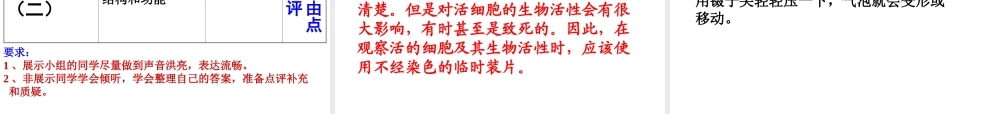 安徽省长丰县下塘实验中学七年级生物上册《2.1.2 植物细胞》课件 （新版）新人教版
