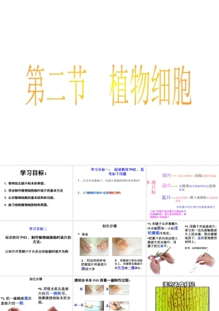 安徽省长丰县下塘实验中学七年级生物上册《2.1.2 植物细胞》课件 （新版）新人教版