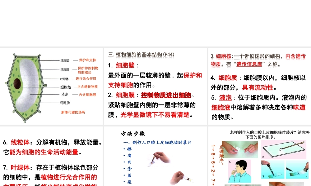 安徽省长丰县下塘实验中学七年级生物上册《2.1.3 动物细胞》课件 （新版）新人教版