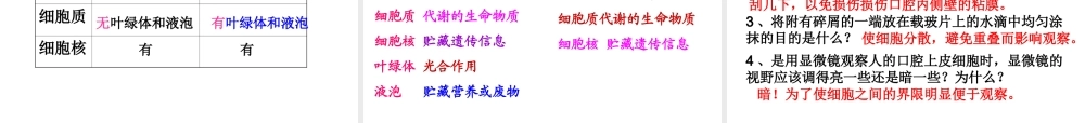 安徽省长丰县下塘实验中学七年级生物上册《2.1.3 动物细胞》课件 （新版）新人教版