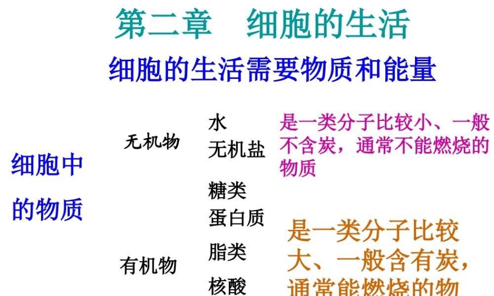 安徽省长丰县下塘实验中学七年级生物上册《2.1.4 细胞的生活》课件 （新版）新人教版