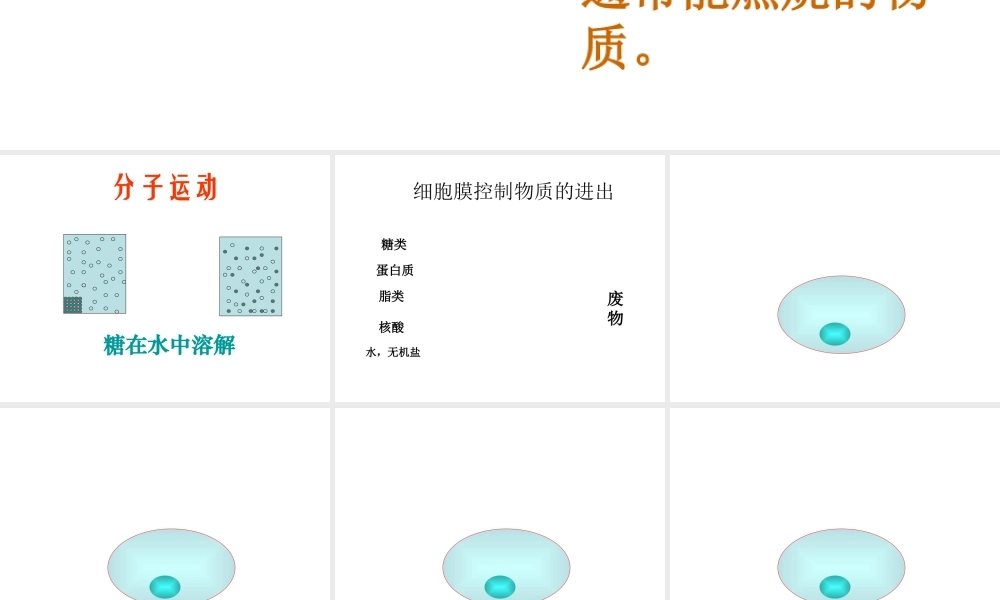 安徽省长丰县下塘实验中学七年级生物上册《2.1.4 细胞的生活》课件 （新版）新人教版