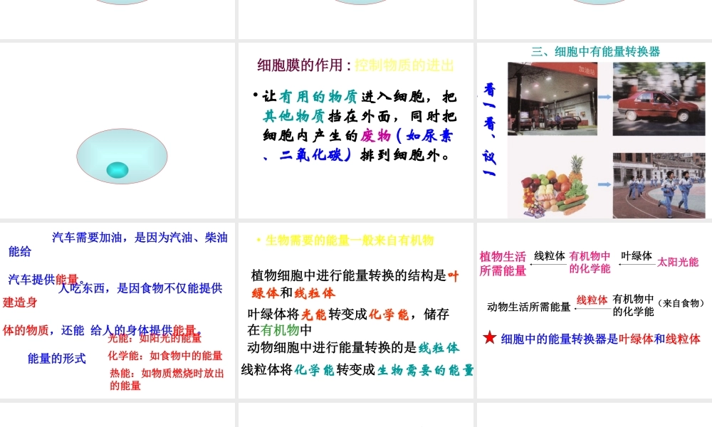 安徽省长丰县下塘实验中学七年级生物上册《2.1.4 细胞的生活》课件 （新版）新人教版