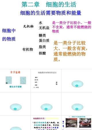 安徽省长丰县下塘实验中学七年级生物上册《2.1.4 细胞的生活》课件 （新版）新人教版