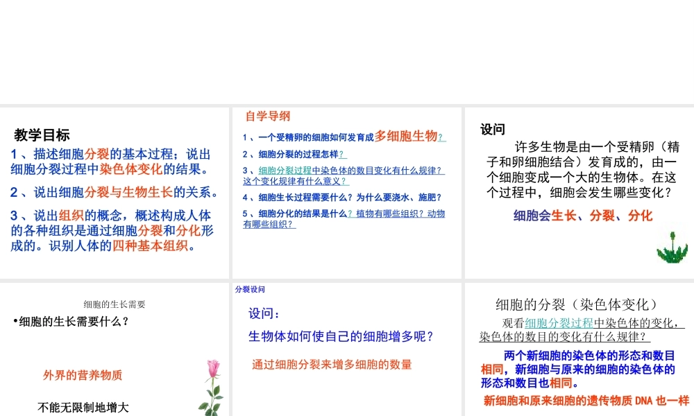 安徽省长丰县下塘实验中学七年级生物上册《2.2.1 细胞通过分裂产生新细胞》课件 （新版）新人教版
