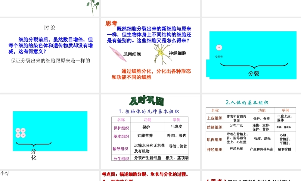 安徽省长丰县下塘实验中学七年级生物上册《2.2.1 细胞通过分裂产生新细胞》课件 （新版）新人教版