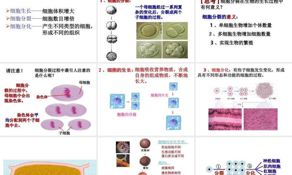 安徽省长丰县下塘实验中学七年级生物上册《2.2.1 细胞通过分裂产生新细胞》课件 （新版）新人教版