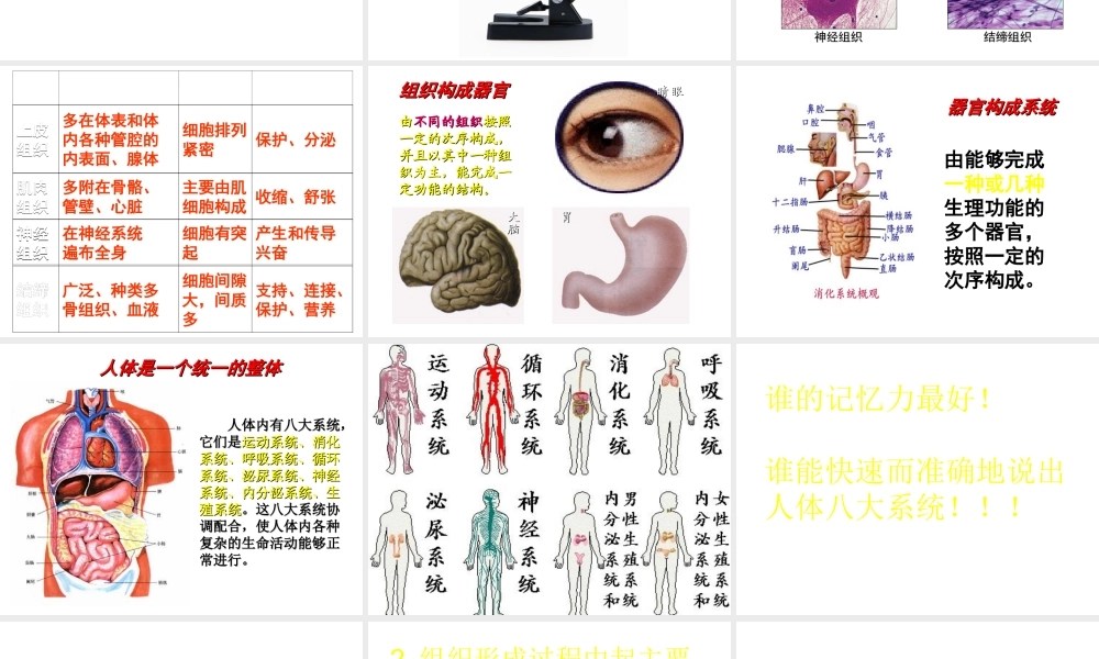 安徽省长丰县下塘实验中学七年级生物上册《2.2.2 动物体的结构层次》课件 （新版）新人教版