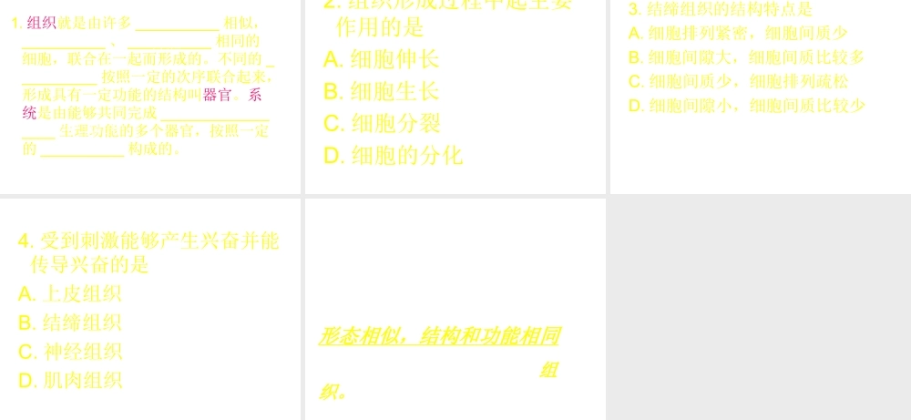 安徽省长丰县下塘实验中学七年级生物上册《2.2.2 动物体的结构层次》课件 （新版）新人教版