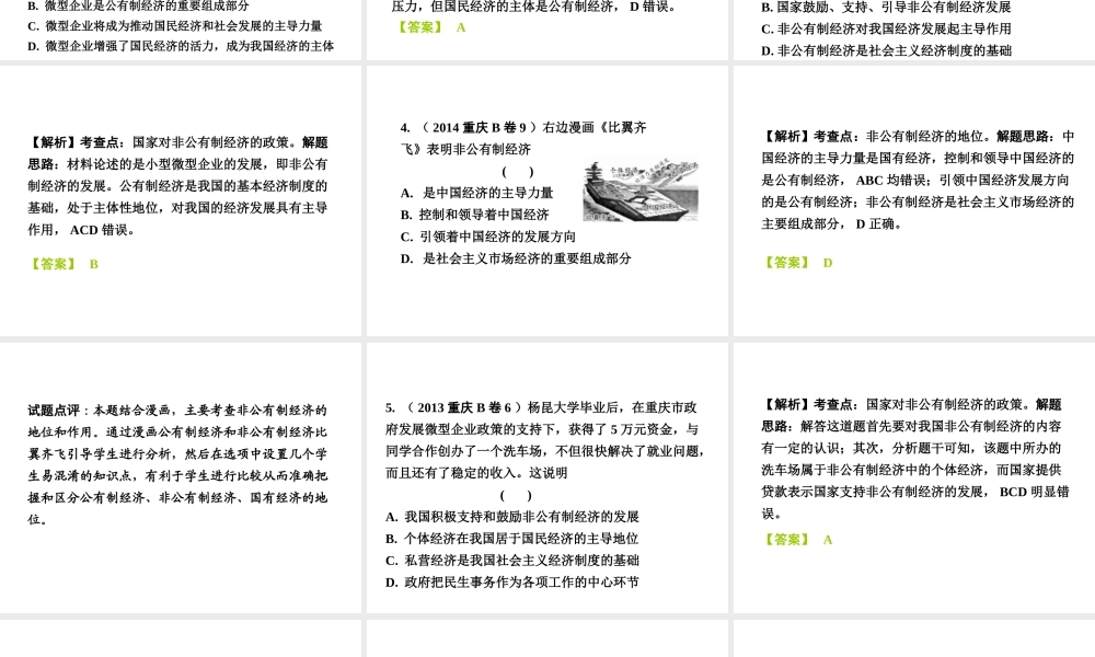 安徽省太和县北城中心校中考政治 专题讲解考点2 基本制度 全面小康 第一讲 基本经济制度 政治制度课件-人教版初中九年级全册政治课件