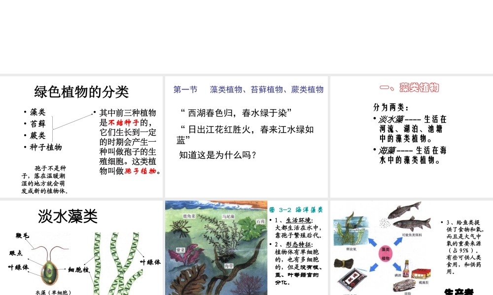 安徽省长丰县下塘实验中学七年级生物上册《3.1.1 藻类、苔藓和蕨类植物》课件 （新版）新人教版