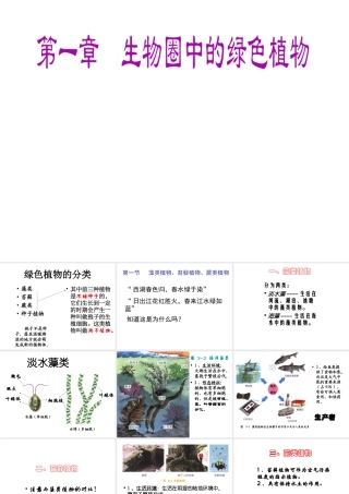 安徽省长丰县下塘实验中学七年级生物上册《3.1.1 藻类、苔藓和蕨类植物》课件 （新版）新人教版