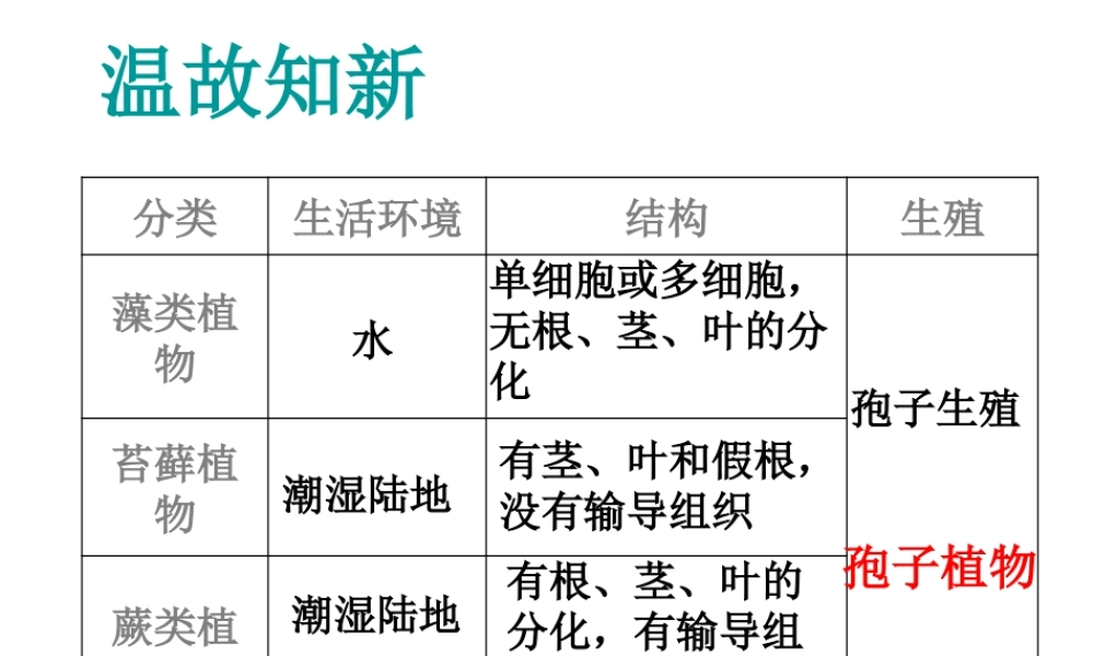 安徽省长丰县下塘实验中学七年级生物上册《3.1.2 种子植物》课件 （新版）新人教版