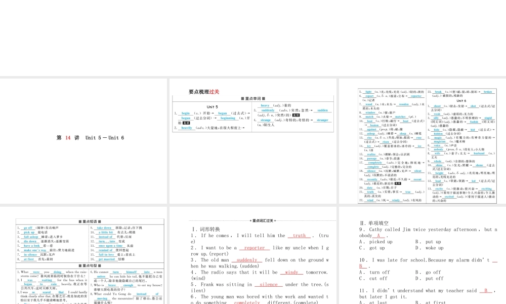 （临沂专版）中考英语总复习 第一部分 系统复习 成绩基石 八下 第14讲 Unit 5-6课件-人教版初中九年级全册英语课件
