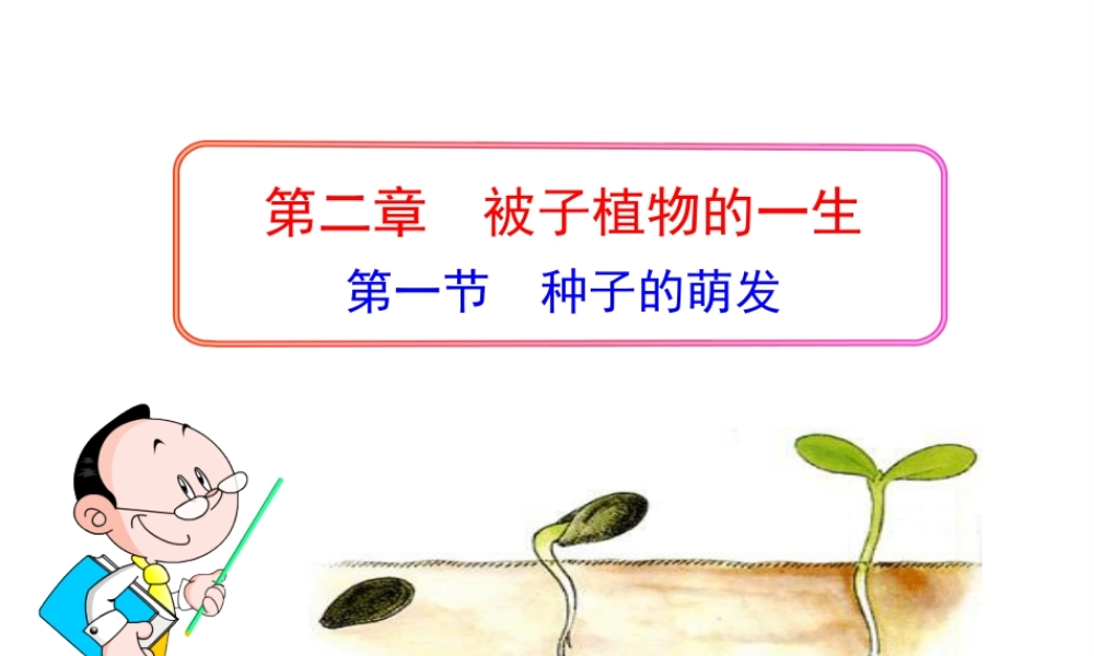 安徽省长丰县下塘实验中学七年级生物上册《3.2.1 种子的萌发》课件 （新版）新人教版