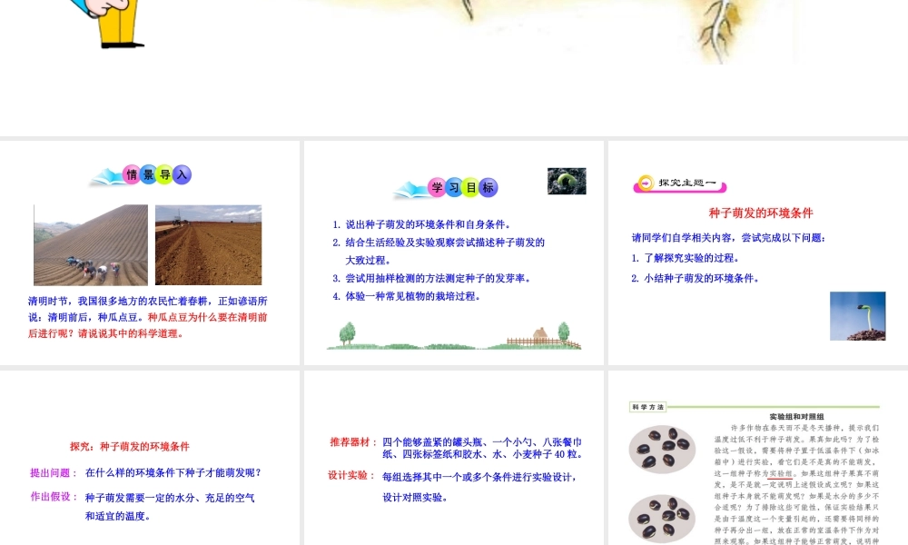 安徽省长丰县下塘实验中学七年级生物上册《3.2.1 种子的萌发》课件 （新版）新人教版